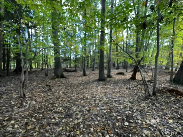 $39,900 | 10051 Highway 62, Persia, NY 14070