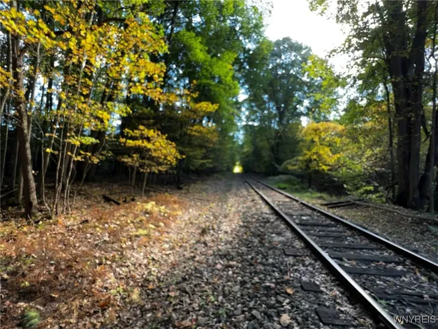 $39,900 | 10051 Highway 62, Persia, NY 14070