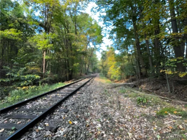 $39,900 | 10051 Highway 62, Persia, NY 14070