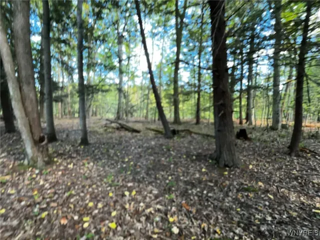 $39,900 | 10051 Highway 62, Persia, NY 14070