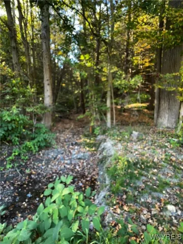 $39,900 | 10051 Highway 62, Persia, NY 14070