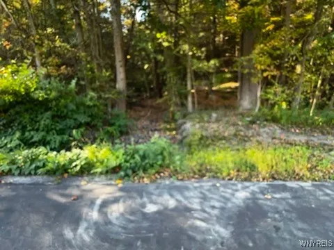 $39,900 | 10051 Highway 62, Persia, NY 14070