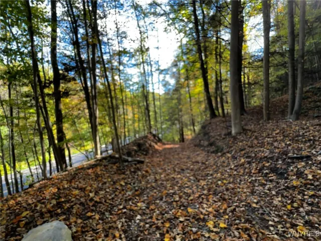 $39,900 | 10051 Highway 62, Persia, NY 14070