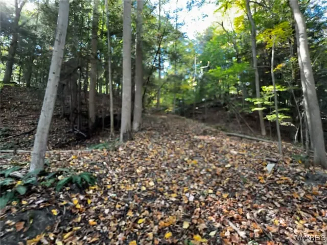 $39,900 | 10051 Highway 62, Persia, NY 14070