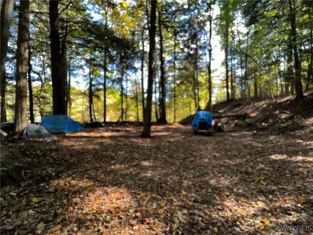 $39,900 | 10051 Highway 62, Persia, NY 14070