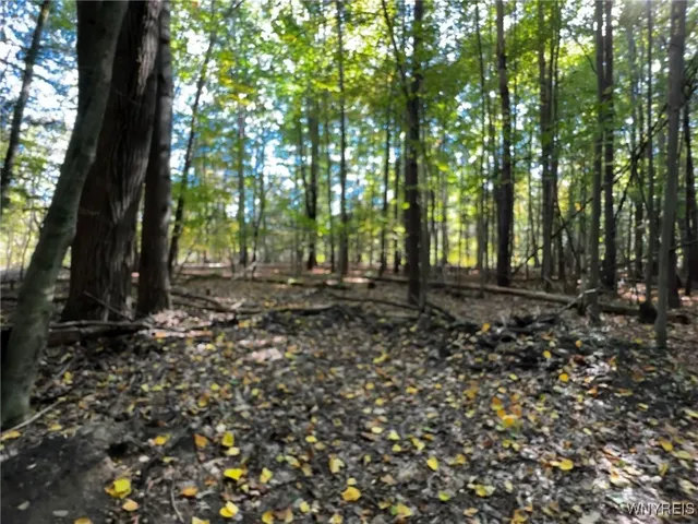 $39,900 | 10051 Highway 62, Persia, NY 14070