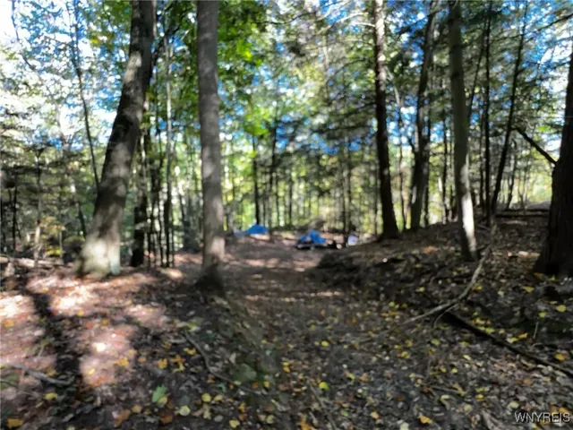 $39,900 | 10051 Highway 62, Persia, NY 14070