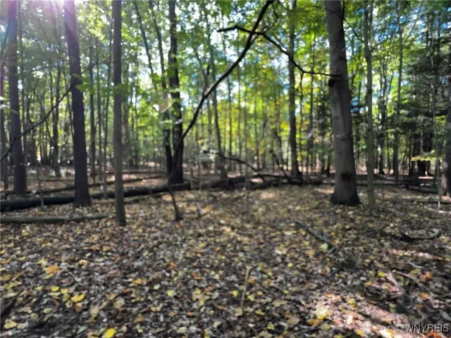 $39,900 | 10051 Highway 62, Persia, NY 14070