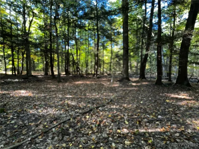 $39,900 | 10051 Highway 62, Persia, NY 14070