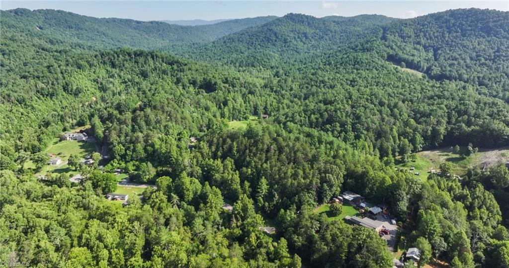 Tbd Boone Trail Purlear, NC 28665 - Photo 23 of 45