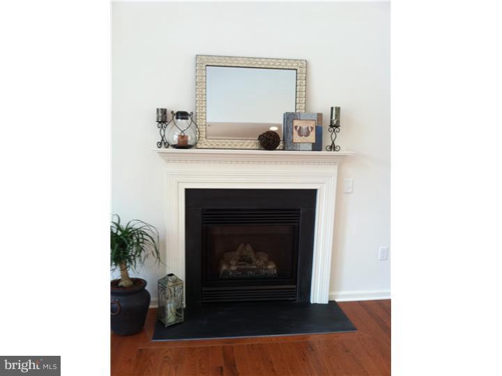 464 Welsh Hill Road Newark, DE 19702 - Photo 8 of 12 Fireplace