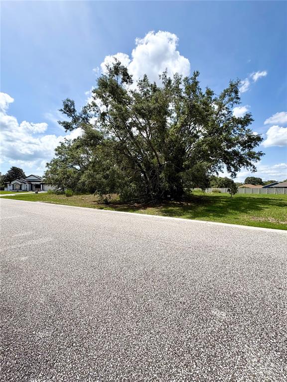 9925 Reindeer Court Spring Hill, FL 34608 - Photo 8 of 8 a view of a green field