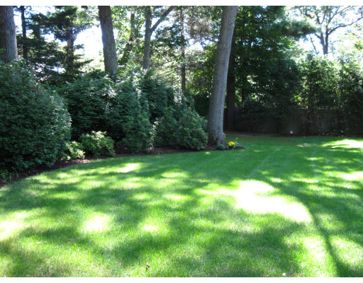 40 Emerson Road Wellesley, MA 02481 - Photo 2 of 9 a view of yard with green space