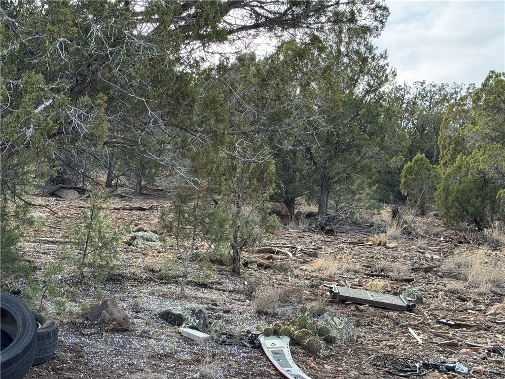 34745 West Running Shadow Road Seligman, AZ 86337 - Photo 44 of 52