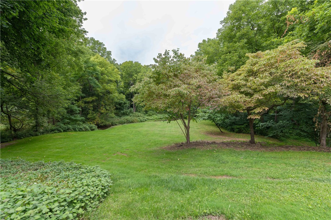 199 Hinkleyville Road Parma, NY 14559 - Photo 49 of 50