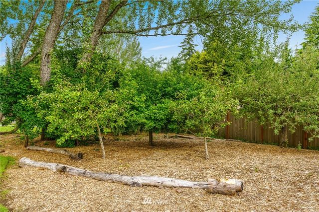 a backyard of a house with lots of green space
