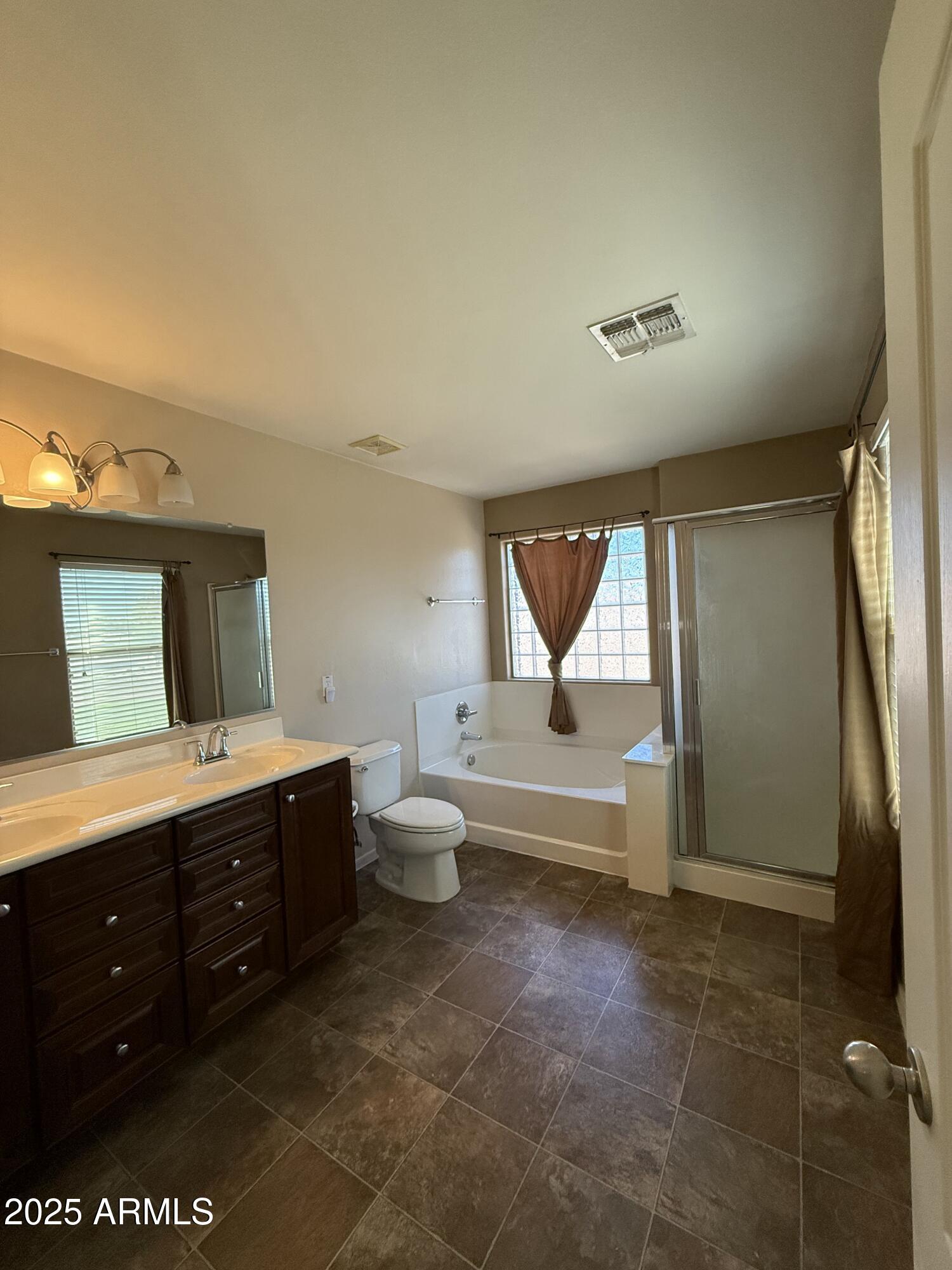 21975 East Vía Del Palo Queen Creek, AZ 85142 - Photo 11 of 19 a bathroom with a tub sink toilet and mirror