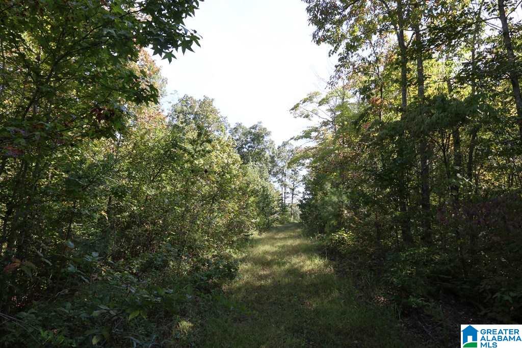 Sprayberry Road, Unit 103 Cropwell, AL 35054 - Photo 18 of 48