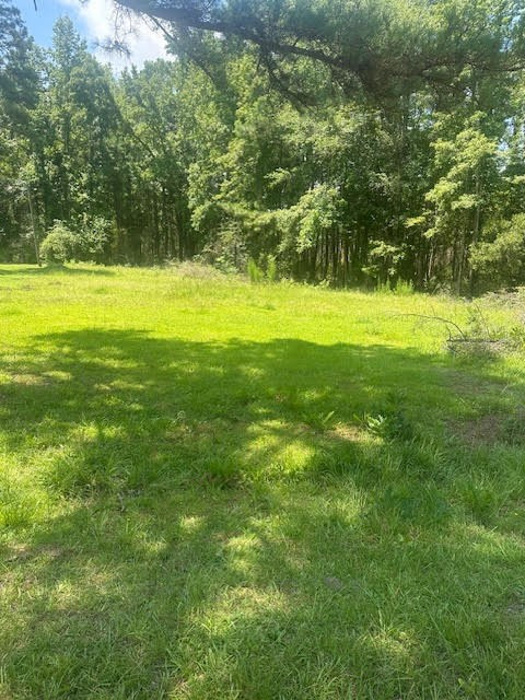 176 Log Road Lynchburg, SC 29080 - Photo 2 of 4 Gallery Image 2