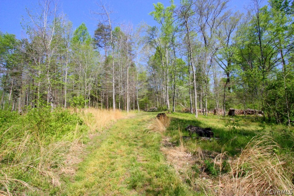 1594 Bagby Road Bumpass, VA 23024 - Photo 42 of 48 Gallery Image 42
