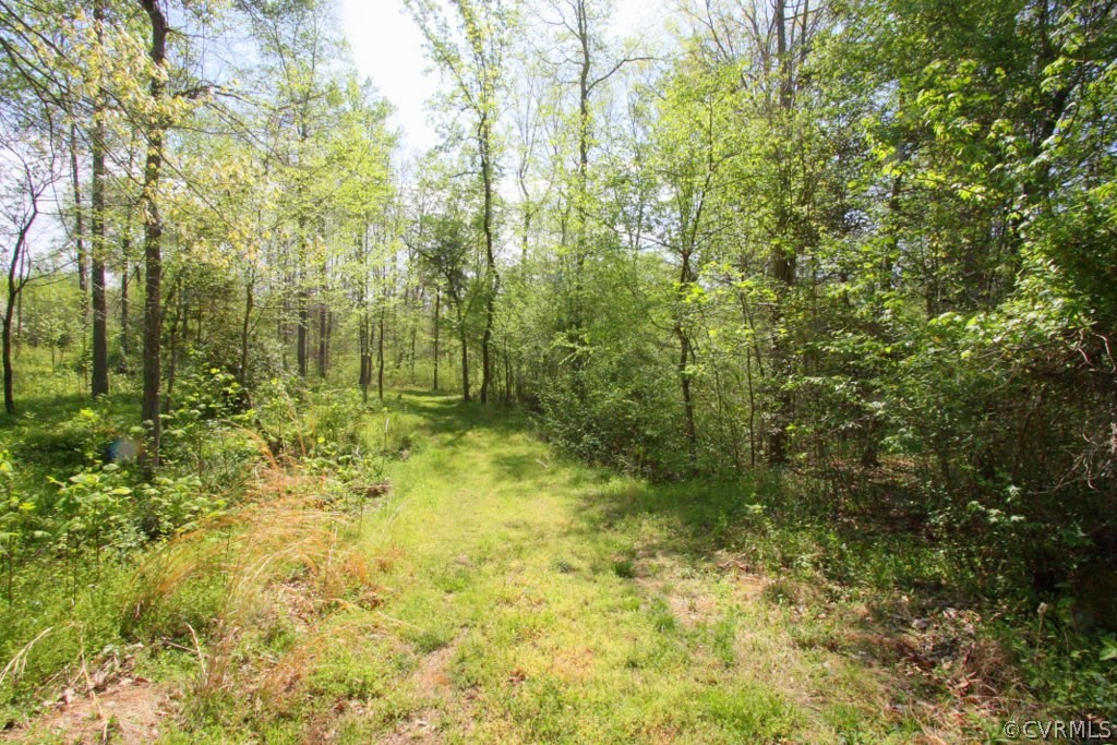 1594 Bagby Road Bumpass, VA 23024 - Photo 43 of 48 Gallery Image 43