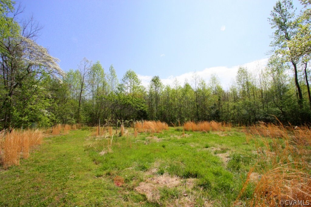 1594 Bagby Road Bumpass, VA 23024 - Photo 44 of 48 Gallery Image 44