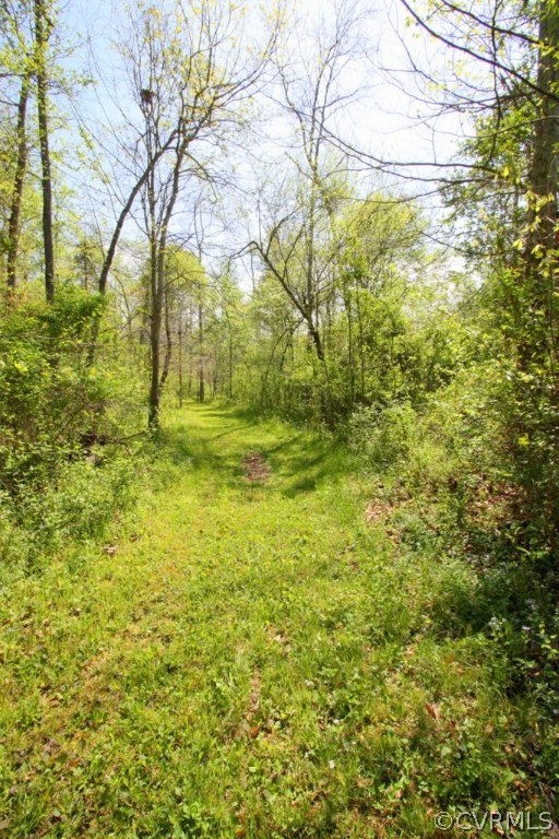 1594 Bagby Road Bumpass, VA 23024 - Photo 45 of 48 Gallery Image 45