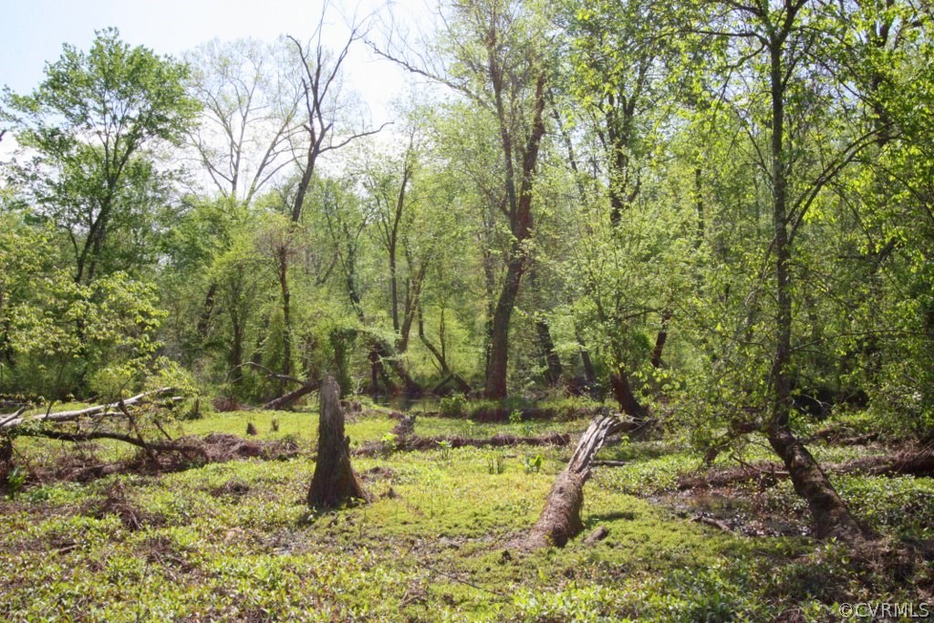 1594 Bagby Road Bumpass, VA 23024 - Photo 47 of 48 Gallery Image 47