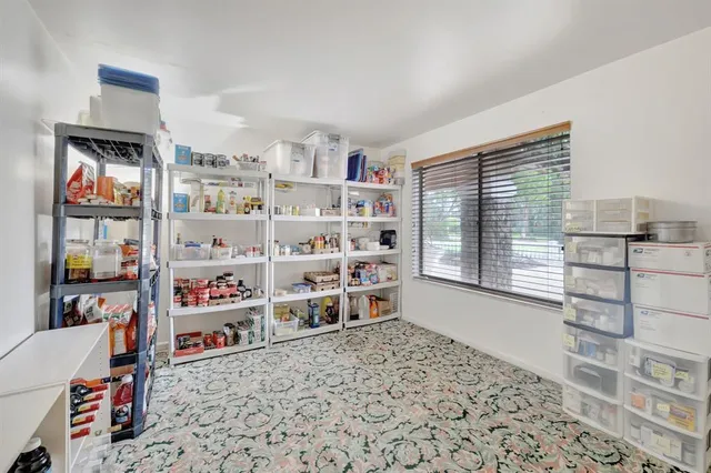 a view of a yard with plants and a trees
