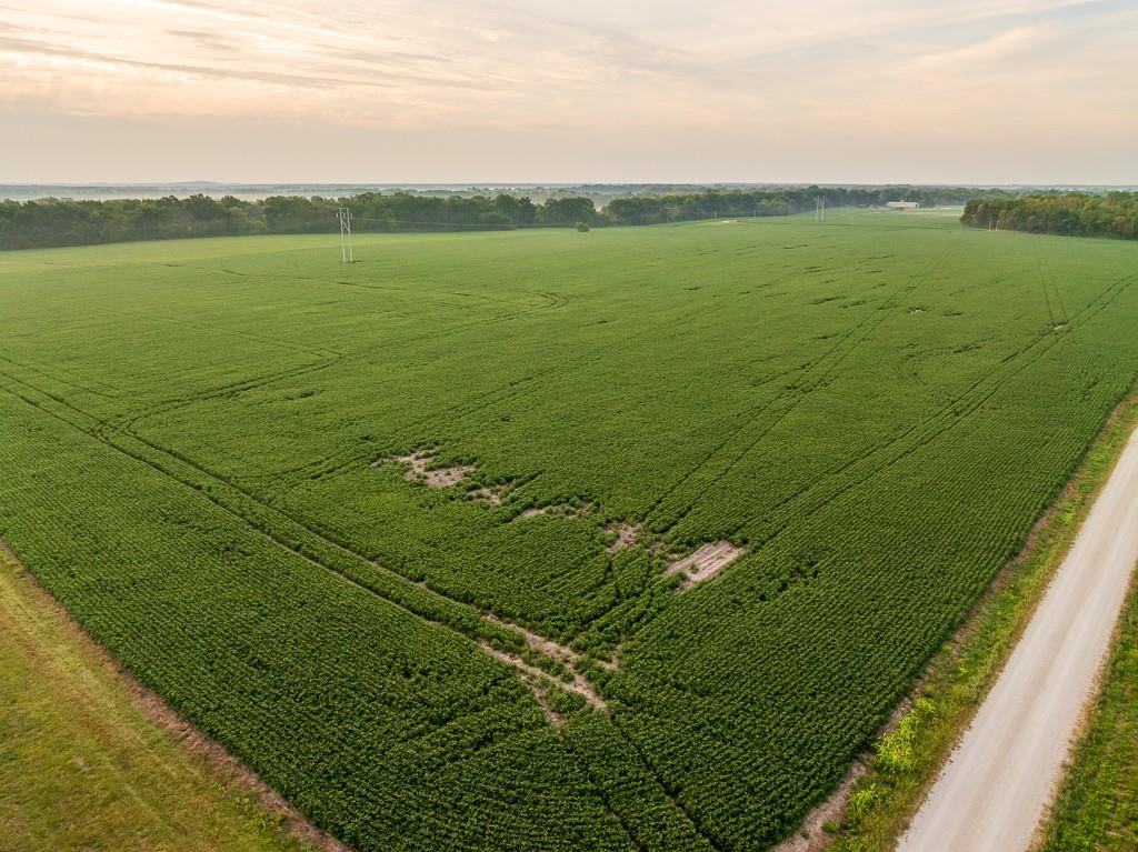 3497 Southwest County Road 1067 Butler, MO 64730 - Photo 13 of 92