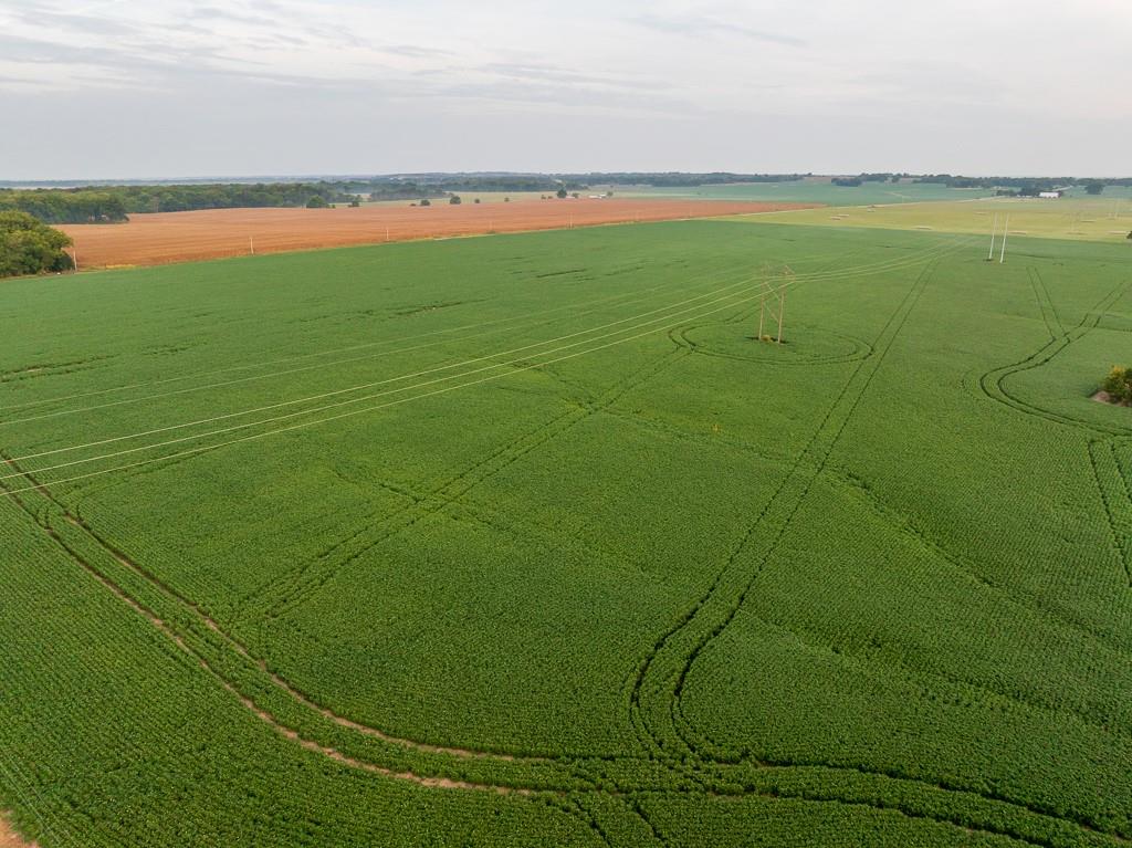 3497 Southwest County Road 1067 Butler, MO 64730 - Photo 19 of 92