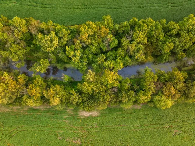 $1,058,600 | 3497 Southwest County Road 1067, Butler, MO 64730