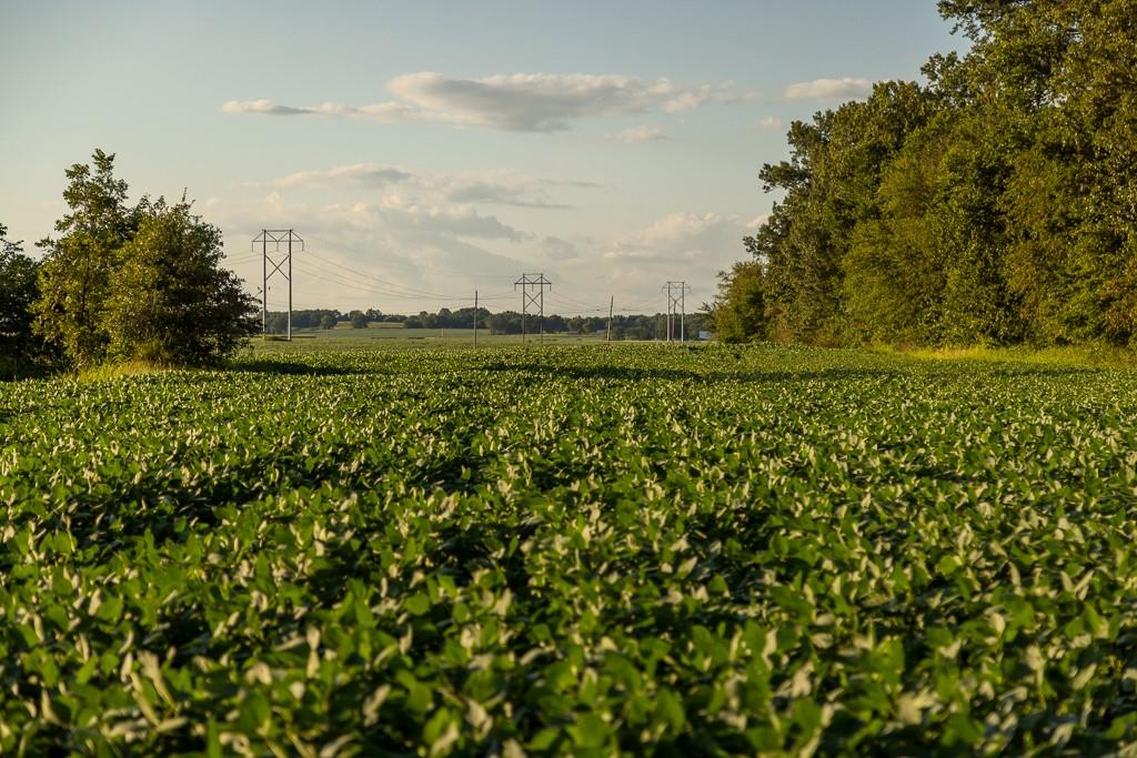 3497 Southwest County Road 1067 Butler, MO 64730 - Photo 36 of 92