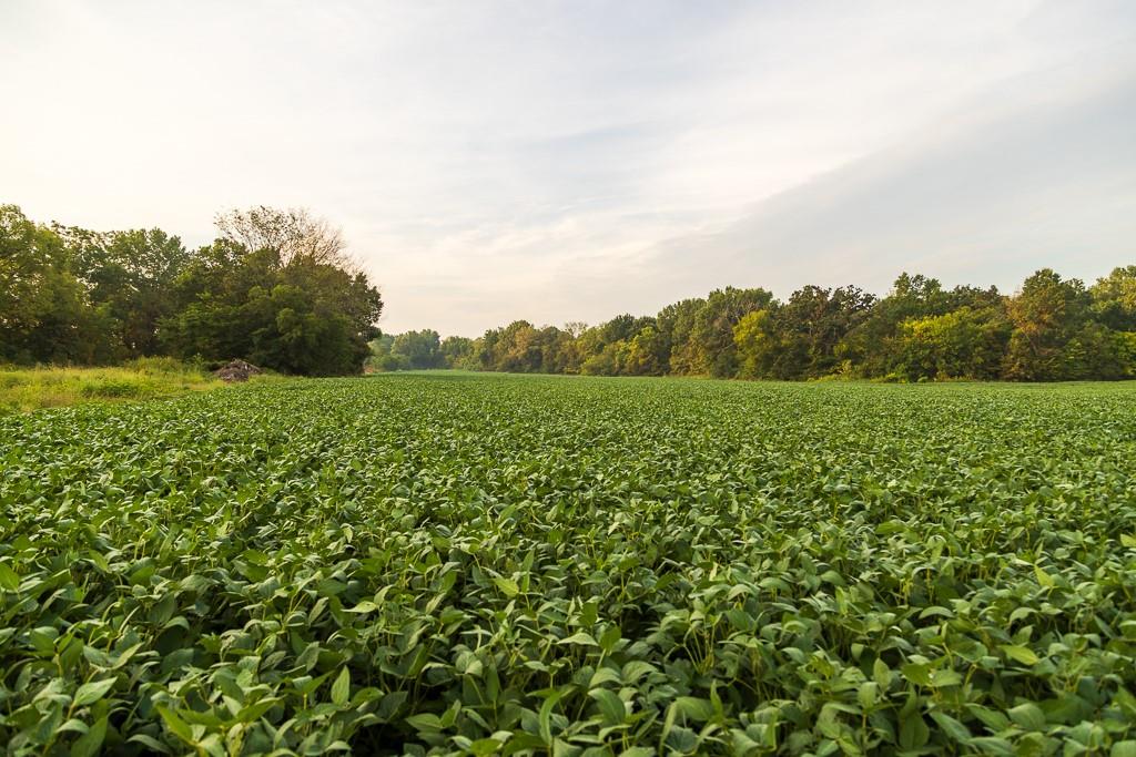 3497 Southwest County Road 1067 Butler, MO 64730 - Photo 37 of 92