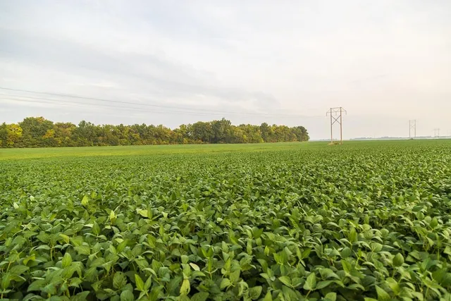 $1,058,600 | 3497 Southwest County Road 1067, Butler, MO 64730