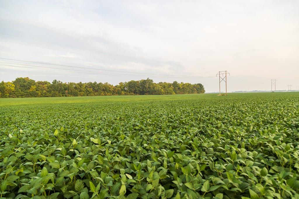 3497 Southwest County Road 1067 Butler, MO 64730 - Photo 38 of 92