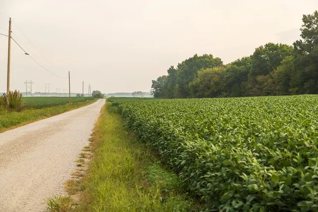 $1,058,600 | 3497 Southwest County Road 1067, Butler, MO 64730