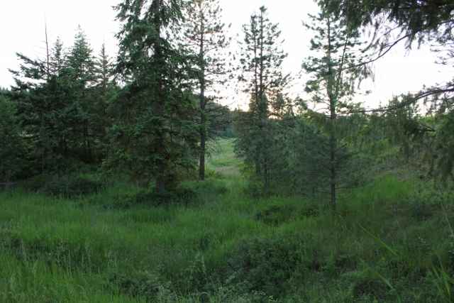 12 Stonebrook Way Springdale, WA 99173 - Photo 8 of 9