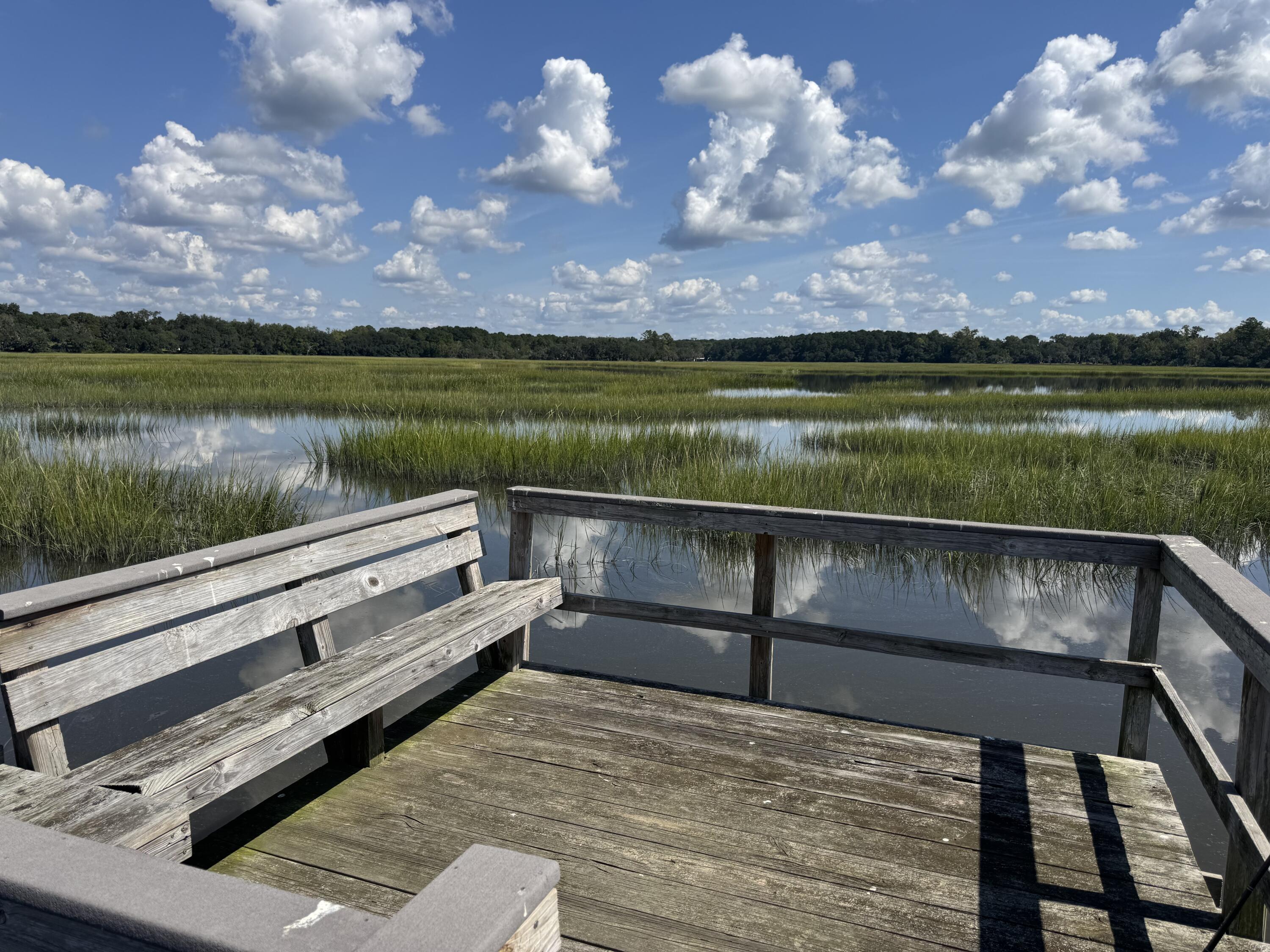 212 Bull Point Drive Seabrook, SC 29940 - Photo 9 of 28
