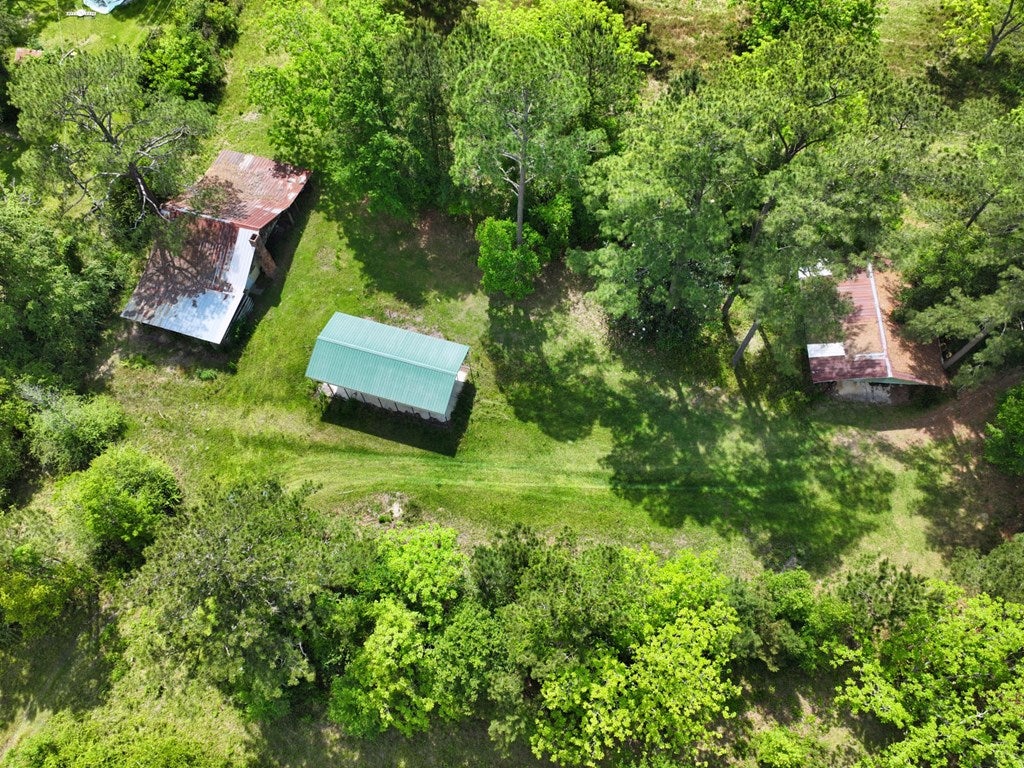 320 Robert Willis Road Cairo, GA 39827 - Photo 13 of 31 Gallery Image 13