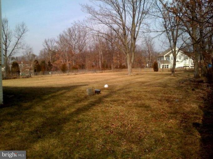Back yard