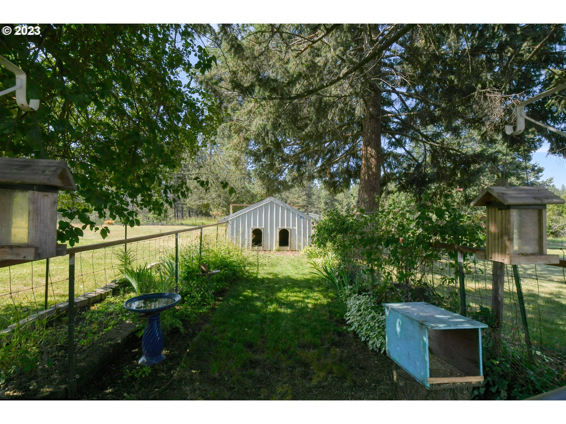 49414 County 1028 Road Pendleton, OR 97801 - Photo 11 of 48 a view of house with a yard and potted plants
