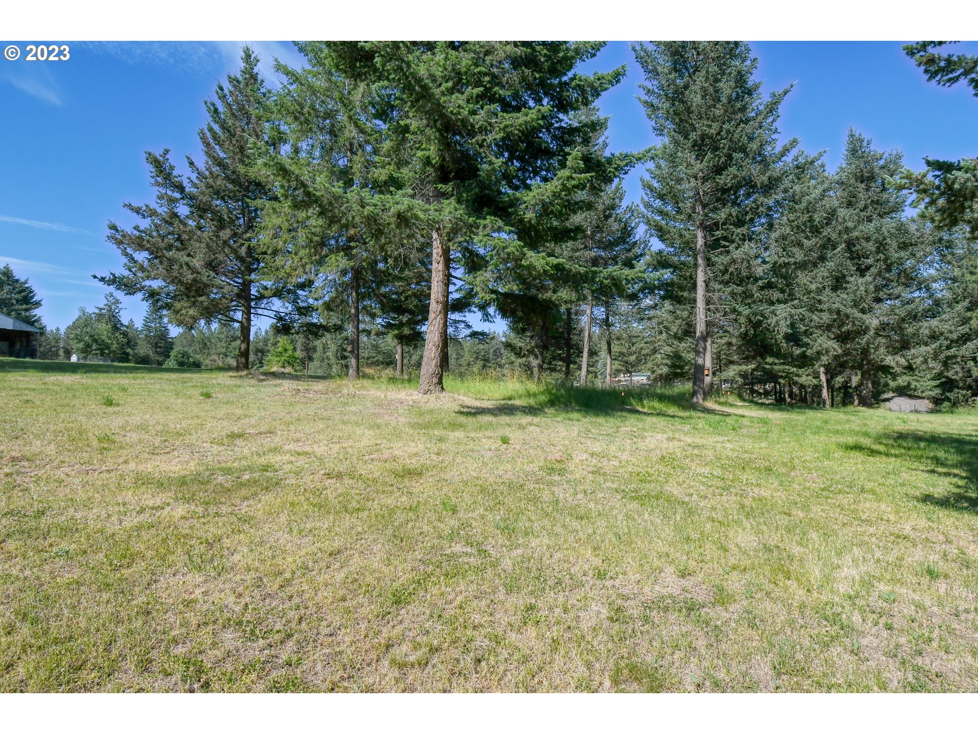 49414 County 1028 Road Pendleton, OR 97801 - Photo 33 of 48 a backyard of a house with lots of green space