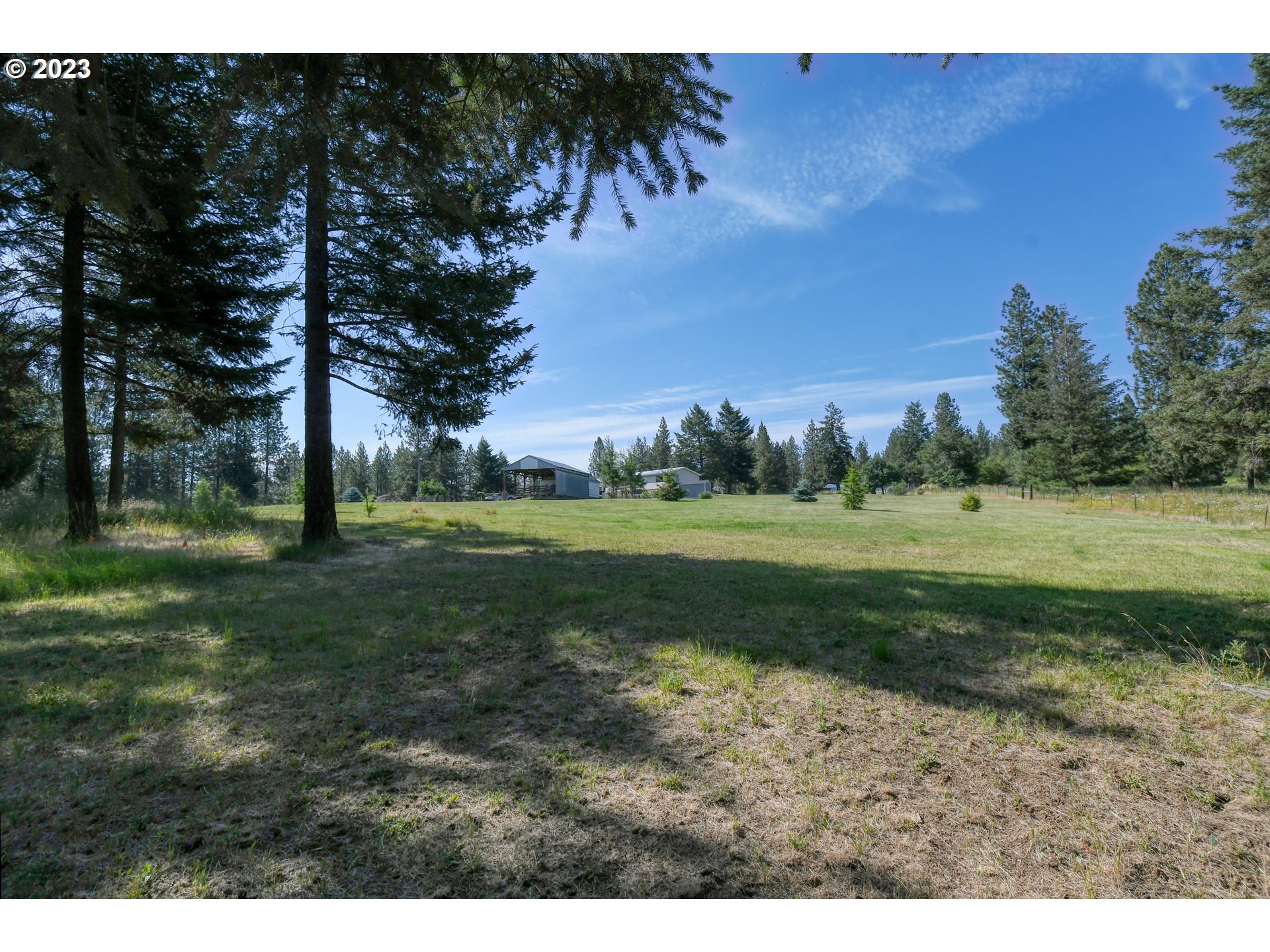 49414 County 1028 Road Pendleton, OR 97801 - Photo 34 of 48 a view of outdoor space with green field and trees
