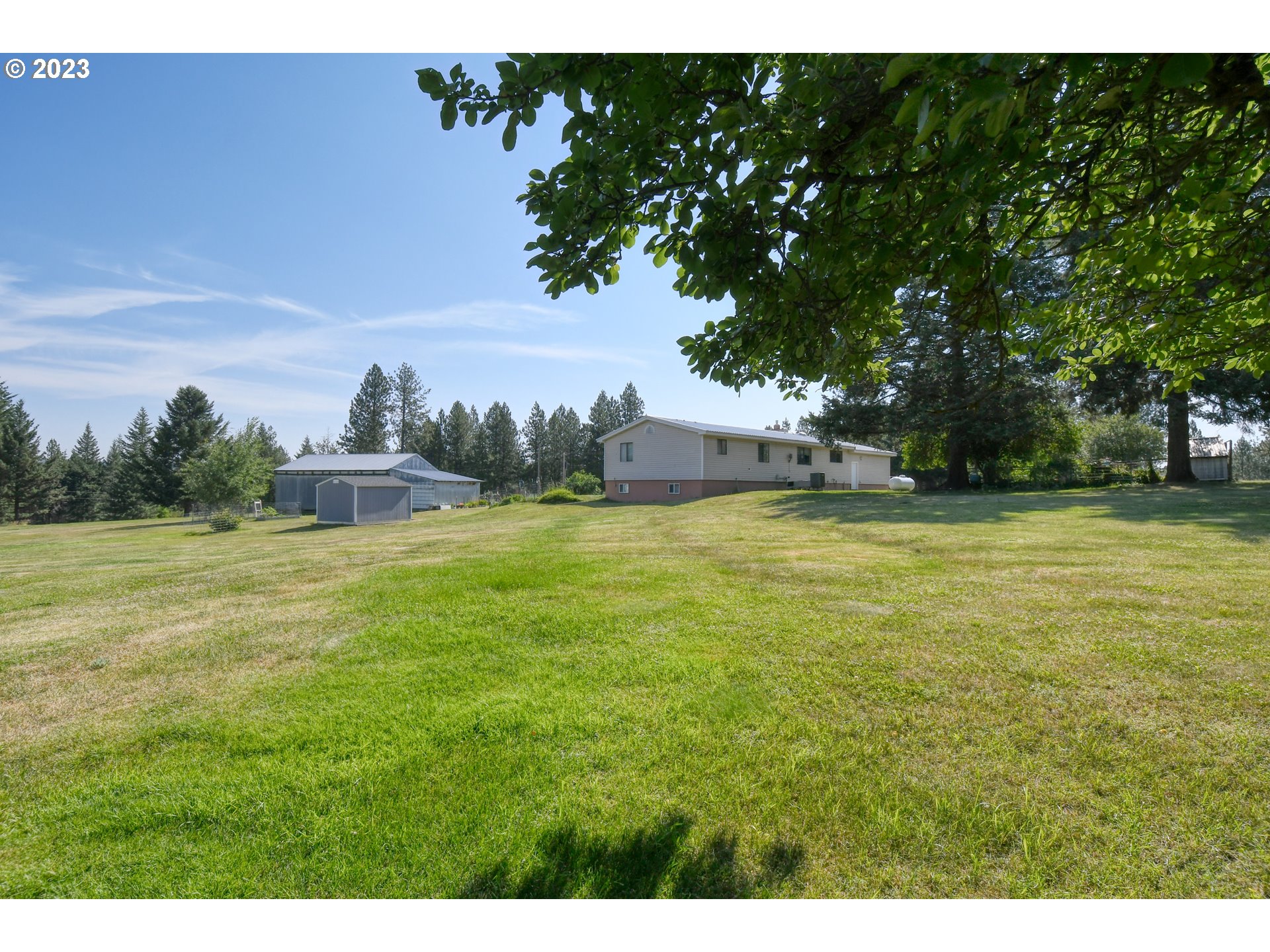 49414 County 1028 Road Pendleton, OR 97801 - Photo 9 of 48 a view of a trees with a big yard