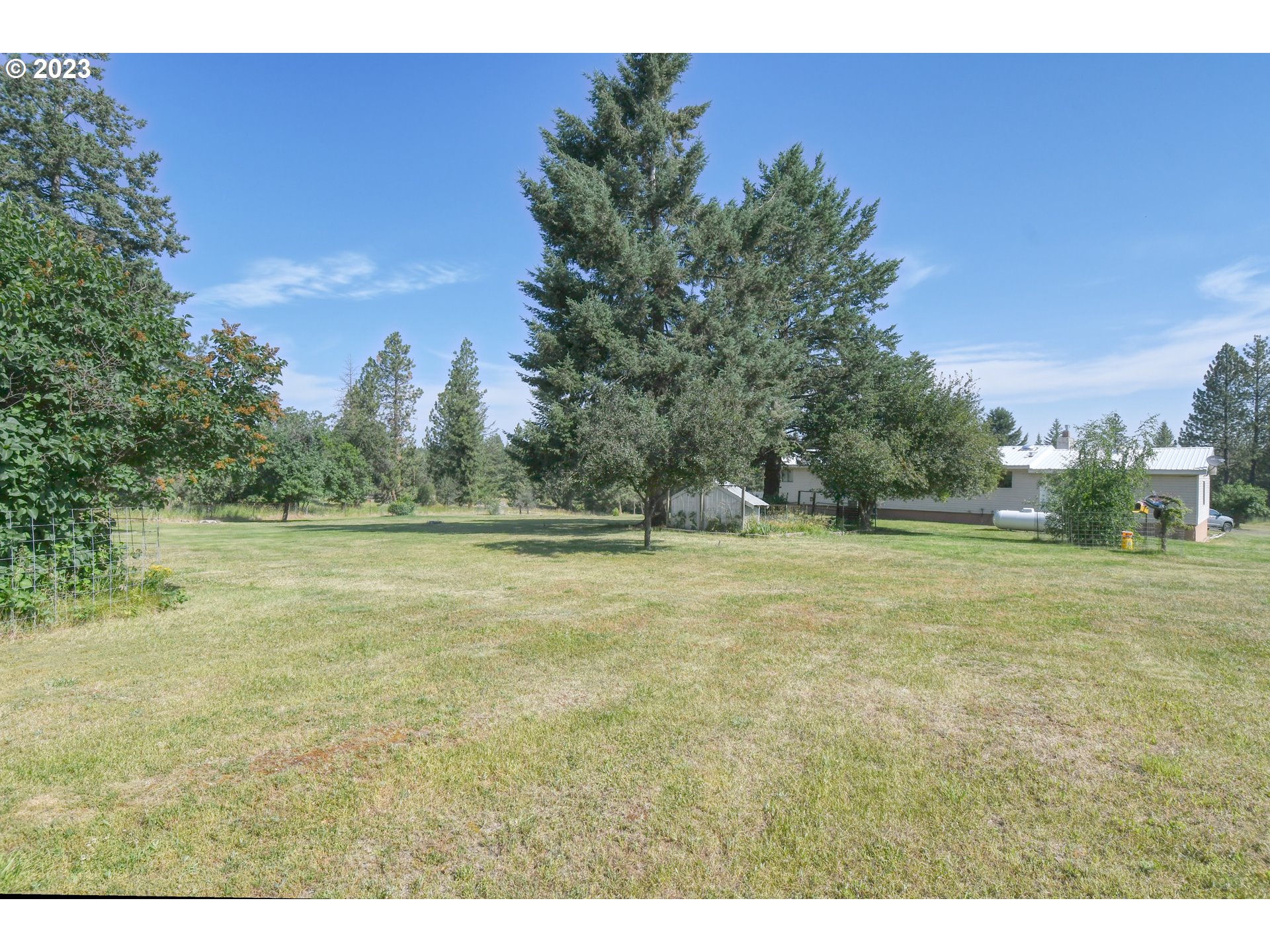 49414 County 1028 Road Pendleton, OR 97801 - Photo 10 of 48 a view of a field with trees
