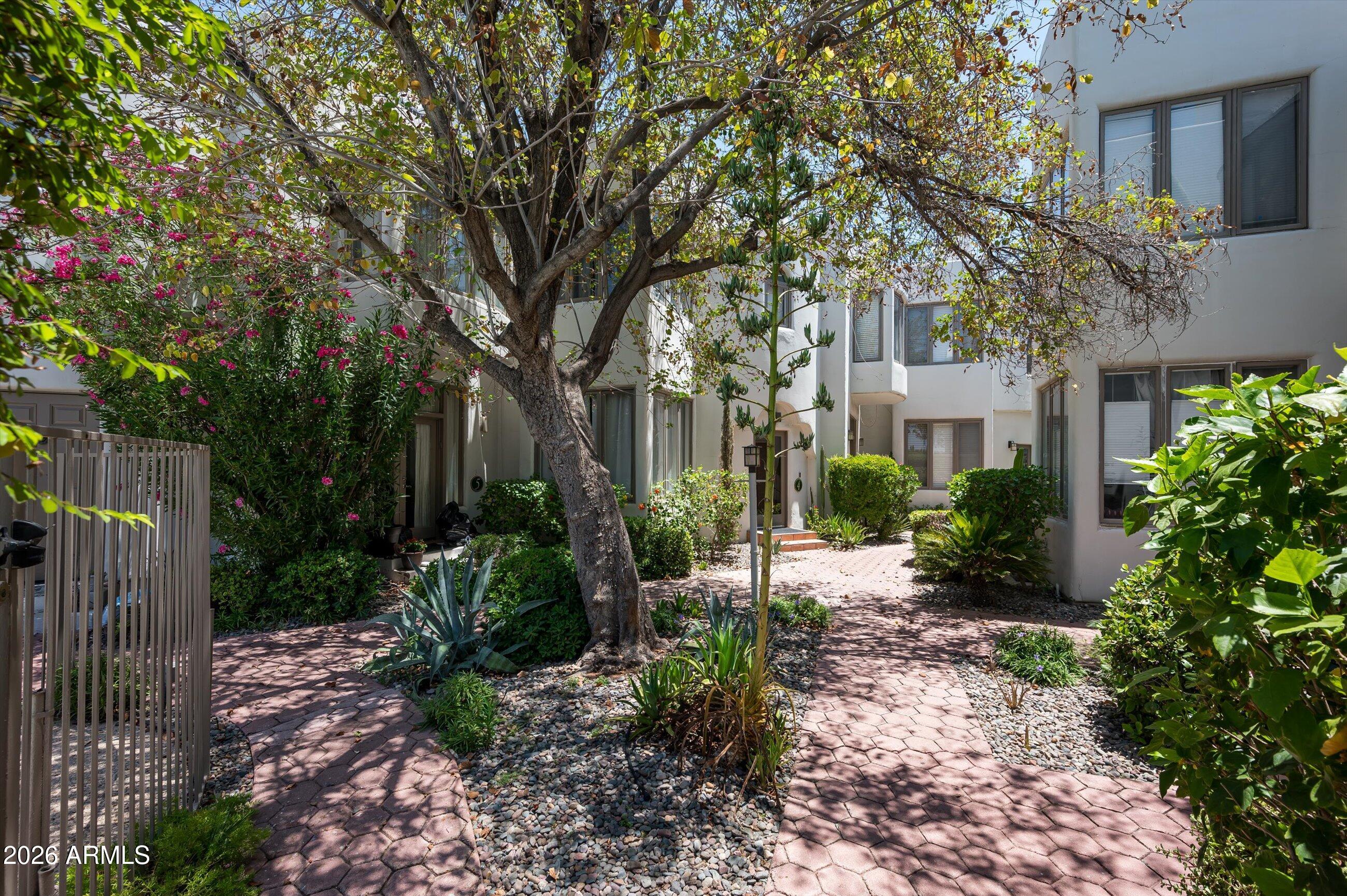 4955 East Indian School Road, Unit 9 Phoenix, AZ 85018 - Photo 22 of 25 a view of a patio with plants and large trees