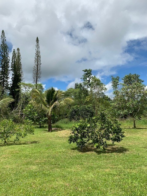 Middle Road Keaau, HI 96749 - Photo 8 of 16 Gallery Image 8