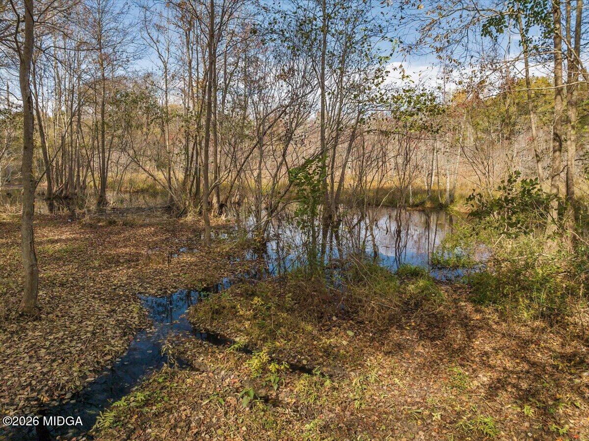 4565 Sardis Church Road Macon, GA 31216 - Photo 69 of 69 002-4565 sardis church rd (56)