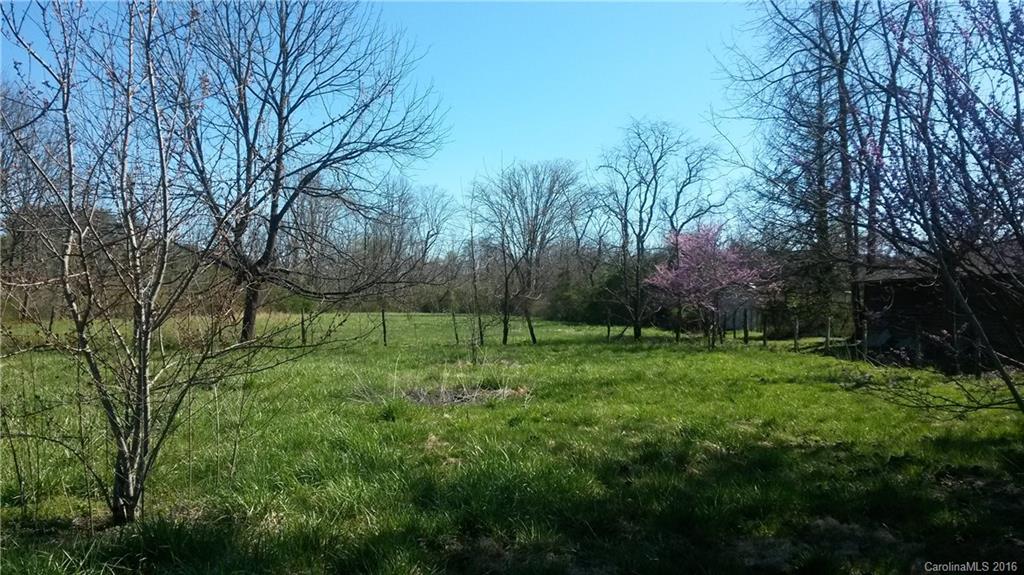 Tbd Ecusta Road Brevard, NC 28712 - Photo 2 of 3 Gallery Image 2